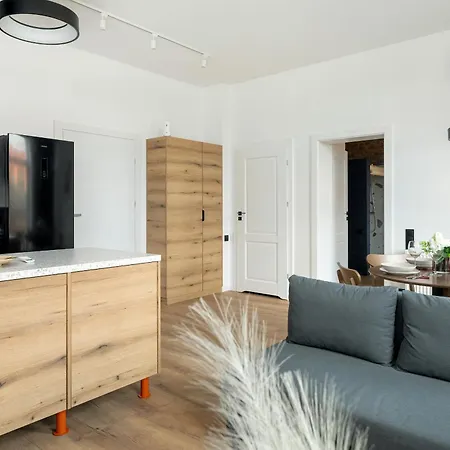 Klimatyzowane I Stylowe W Poznaniu Blisko Parku By Renters Apartment Posen