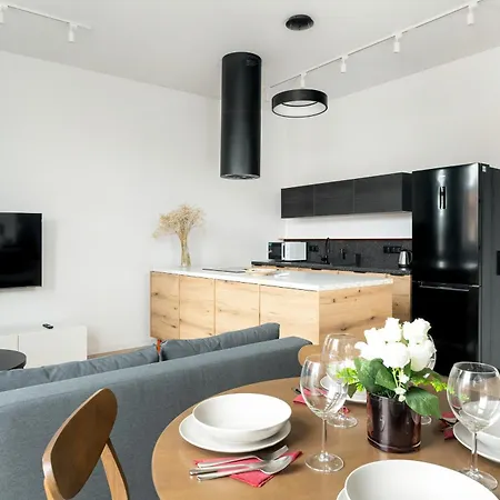 Klimatyzowane I Stylowe W Poznaniu Blisko Parku By Renters Posen