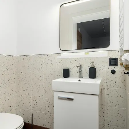 Klimatyzowane I Stylowe W Poznaniu Blisko Parku By Renters Posen