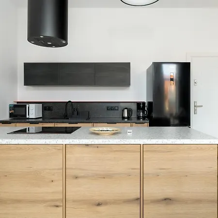 Klimatyzowane I Stylowe W Poznaniu Blisko Parku By Renters Apartment *