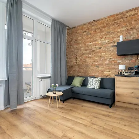 Klimatyzowane I Stylowe W Poznaniu Blisko Parku By Renters Apartment