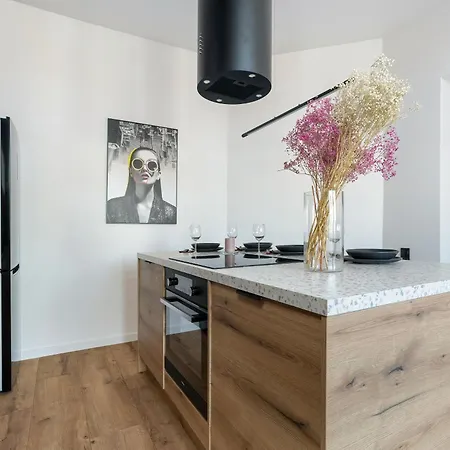 Klimatyzowane I Stylowe W Poznaniu Blisko Parku By Renters Apartment Posen