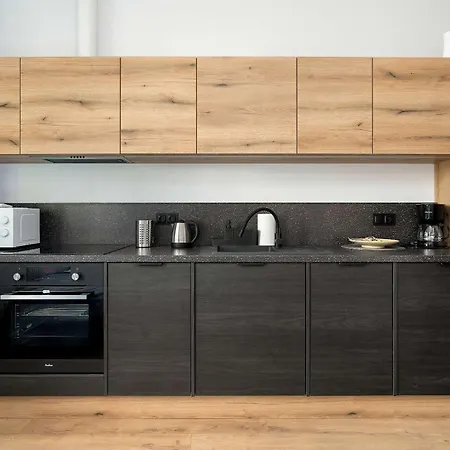 Klimatyzowane I Stylowe W Poznaniu Blisko Parku By Renters Posen