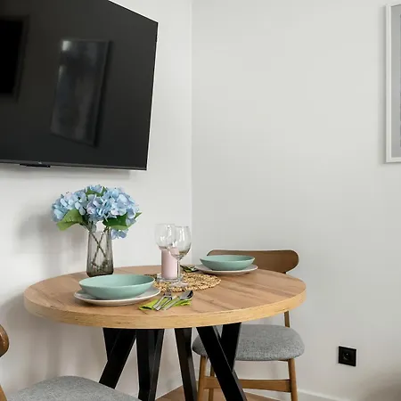 Klimatyzowane I Stylowe W Poznaniu Blisko Parku By Renters Apartment